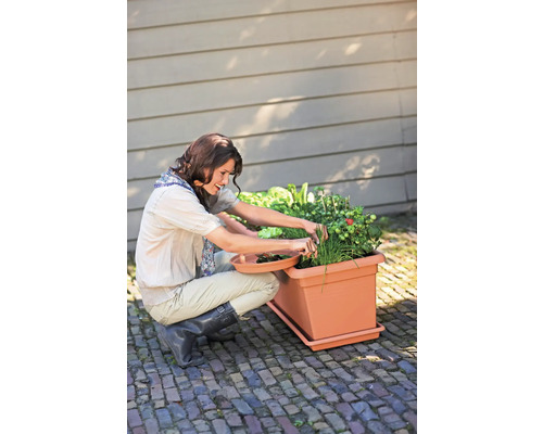 Žena zbiera bylinky a zeleninu z obdĺžnikového terakotového kvetináča na dláždenej terase.