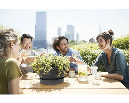 Tmavosivá misa na rastliny s podmiskou na drevenom stole, v pozadí priatelia na slnečnej strešnej terase s výhľadom na mesto.