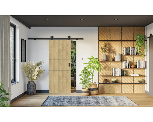 Moderná svetlá izba s drevenými posuvnými dverami na čiernej koľajnici, otvorenou policou s dekoráciami, izbovými rastlinami a modrým kobercom.