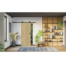 Moderné posuvné dvere v dekore dreva s čiernym koľajnicovým systémom v svetlej miestnosti s policovým dielom a izbovými rastlinami.