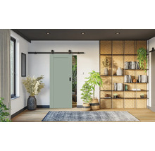 Šalviovo zelené posuvné dvere s čiernou koľajnicou v modernej obývacej izbe s drevenými policami, izbovými rastlinami a vzorovaným kobercom.