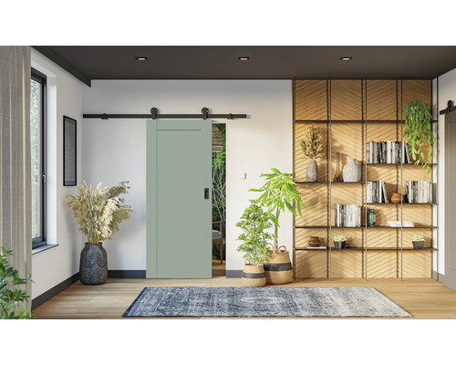 Šalviovo zelené posuvné dvere s čiernou koľajnicou v modernej obývacej izbe s drevenými policami, izbovými rastlinami a vzorovaným kobercom.