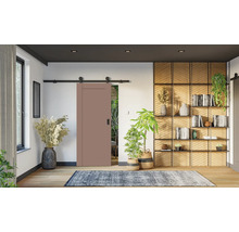 Moderný interiér so staroružovými posuvnými dverami na čiernej koľajnici. Svetlá drevená podlaha, modrý koberec, izbové rastliny a regál.