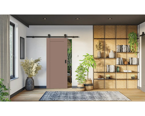 Moderný interiér so staroružovými posuvnými dverami na čiernej koľajnici. Svetlá drevená podlaha, modrý koberec, izbové rastliny a regál.