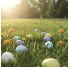 Farebné veľkonočné vajíčka roztrúsené na slnečnej zelenej lúke s malými kvetmi.