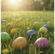 Farebné veľkonočné vajíčka v tráve na lúke so žltými kvetmi za jasného svetla.