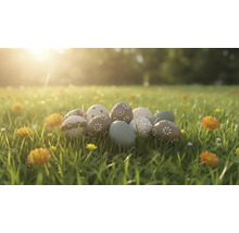 Dekoratívne veľkonočné vajíčka s rôznymi vzormi ako kvety a bodky ležia na slnečnej lúke s trávou a kvetmi.