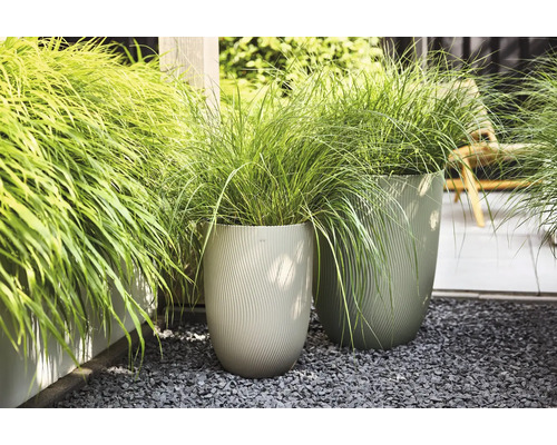 Dva vysoké kvetináče s vlnitou štruktúrou na sivom štrku, vysadené zelenou okrasnou trávou v záhrade.