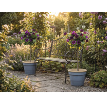 Kovová záhradná lavička s ozdobnými prvkami a dvoma stromčekovými ružami v kvetináčoch na slnečnej kamennej terase v rozkvitnutej záhrade.