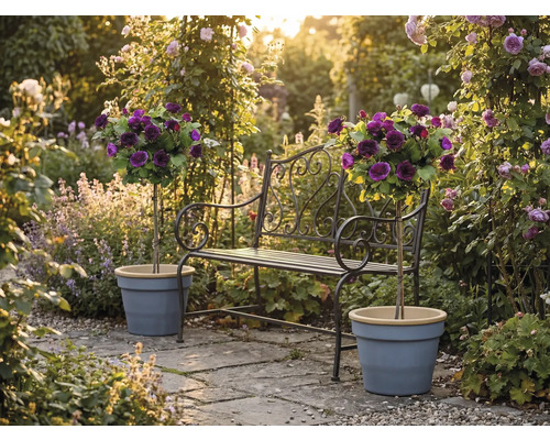 Kovová záhradná lavička s ozdobnými prvkami a dvoma stromčekovými ružami v kvetináčoch na slnečnej kamennej terase v rozkvitnutej záhrade.