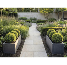 Moderná záhrada so svetlou kamennou cestou, sivými kvetináčmi s buxusovými guľami a okrasnými trávami pri múre.
