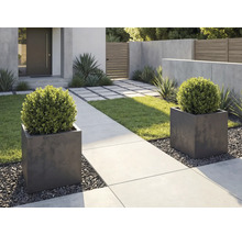 Moderný záhradný dizajn s dvoma štvorcovými kvetináčmi, buxusmi, betónovým chodníkom a štrkom.