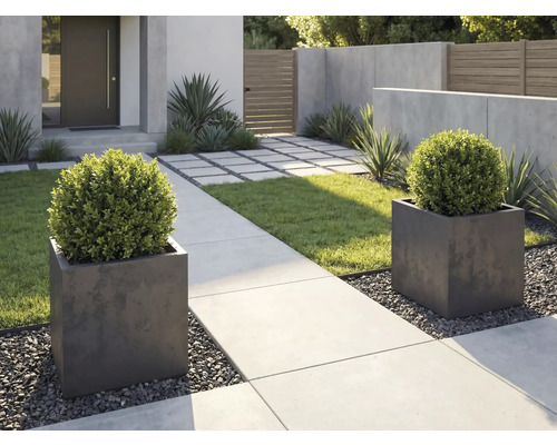 Moderný záhradný dizajn s dvoma štvorcovými kvetináčmi, buxusmi, betónovým chodníkom a štrkom.