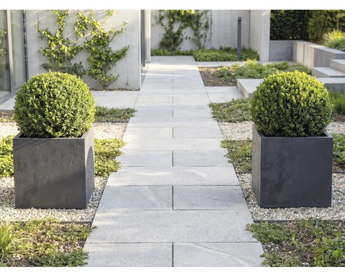 Moderná záhrada s cestou zo svetlosivých dlaždíc, lemovaná dvoma štvorcovými kvetináčmi s guľatými krušpánmi na svetlom štrku.