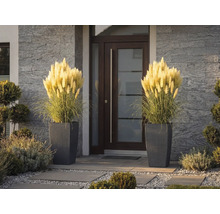 Dva vysoké kvetináče s pleteným vzorom a ozdobnou pampovou trávou pri moderných vchodových dverách s kamenným obkladom.