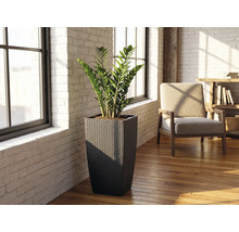 Vysoký štvorcový pletený kvetináč s rastlinou zamiokulkas vo svetlej miestnosti s bielymi tehlovými stenami a drevenou podlahou.