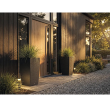 Dva vysoké tmavé kvetináče v ratanovom vzhľade s okrasnou trávou pri modernom organizovanom vchode s dreveným obkladom a kameňmi.