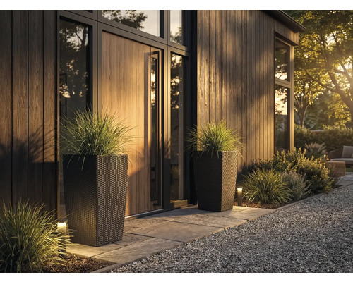 Dva vysoké tmavé kvetináče v ratanovom vzhľade s okrasnou trávou pri modernom organizovanom vchode s dreveným obkladom a kameňmi.