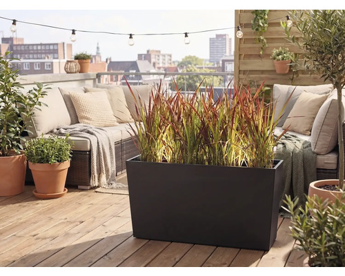 Moderná strešná terasa s veľkým čiernym kvetináčom s okrasnou trávou, záhradnou pohovkou s vankúšmi a terakotovými kvetináčmi na drevenej podlahe.