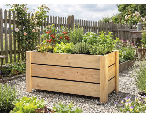 Obdĺžnikový vyvýšený záhon zo svetlého dreva v záhrade, vysadený paradajkami, bylinkami a šalátom.