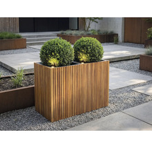 Obdĺžnikový kvetináč z drevených lamiel s dvoma guľatými krušpánmi a integrovaným osvetlením v modernej záhrade so štrkom.