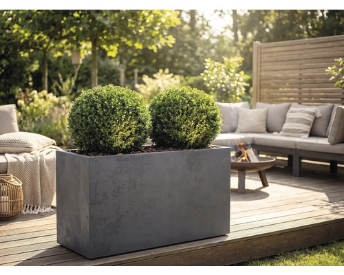 Obdĺžnikový sivý kvetináč s dvoma guľovitými krušpánmi na drevenej terase v záhradnom salóniku s ohniskom a pohovkou.