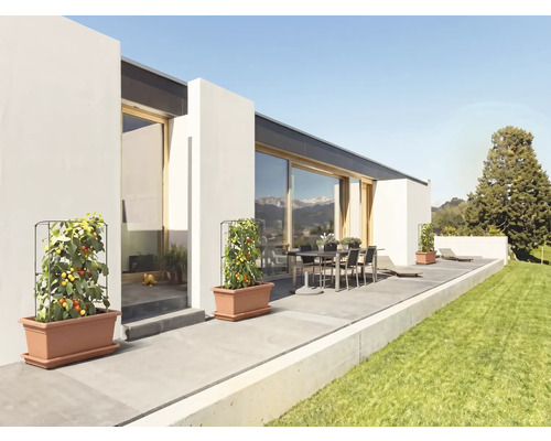 Rajčiaky v plastových kvetináčoch s mriežkami na modernej terase so záhradným nábytkom a priľahlým trávnikom.