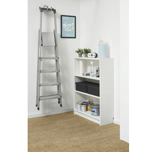 Organizovaný úložný priestor s bielym regálom a hliníkovým rebríkom zaveseným na stene. Regál obsahuje farby a škatule.