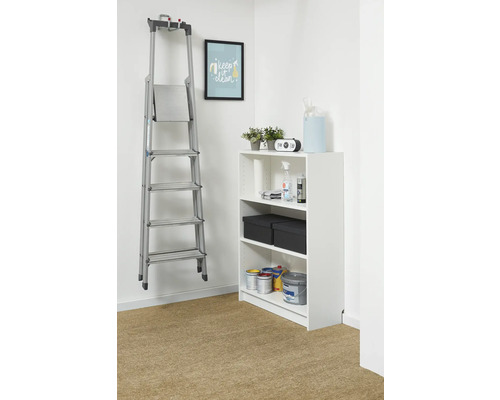 Organizovaný úložný priestor s bielym regálom a hliníkovým rebríkom zaveseným na stene. Regál obsahuje farby a škatule.