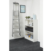 Organizovaný úložný priestor s bielym regálom a hliníkovým rebríkom na stene, doplnený o plechovky s farbou a úložné boxy.