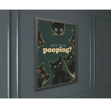Zarámovaný nástenný plagát s ilustráciami mačiek a textom are you pooping