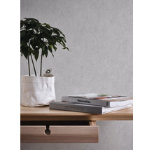 Vliesová tapeta Trend Spectrum 390362 sivá, strieborná 53 x 1005 cm