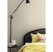 Vliesová tapeta Trend Spectrum 792533 béžová, strieborná 53 x 1005 cm