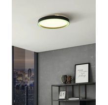 Moderné okrúhle stropné LED svietidlo s čiernym rámom a zeleným svetelným kruhom v izbe s sivou stenou a kovovým regálom.
