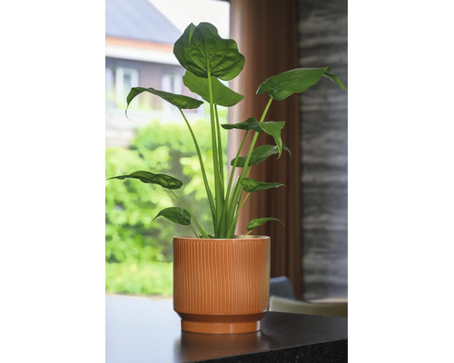 Obal na kvetináč Salamanca Ø 17 x 15 cm terakota