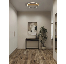 Moderné okrúhle LED stropné svietidlo s dreveným prvkom v predsieni nad konzolovým stolíkom s izbovou rastlinou.