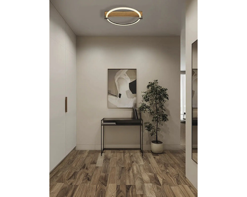 Moderné okrúhle LED stropné svietidlo s dreveným prvkom v predsieni nad konzolovým stolíkom s izbovou rastlinou.