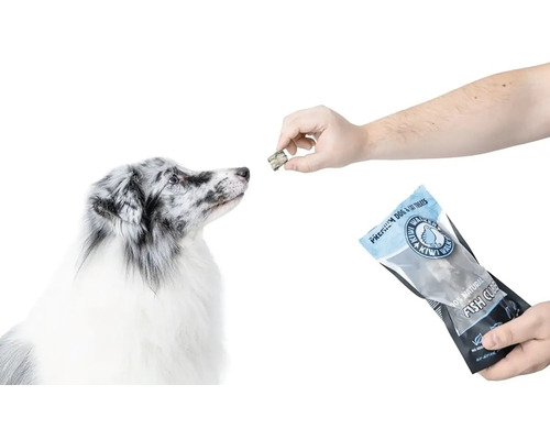 Osoba kŕmi psa rybími kockami Kiwi Walker z obalu produktu