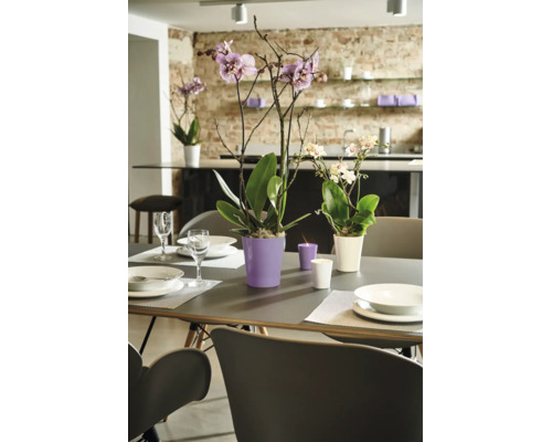 Jedálenský stôl zdobený orchideami v kvetináčoch a sviečkami pred otvorenou kuchyňou s tehlovou stenou.