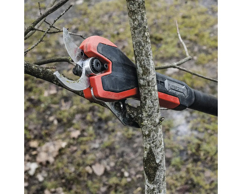 Akumulátorové nožnice na konáre pri strihaní konára v záhrade.