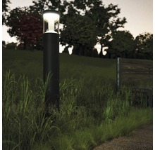 Vonkajšia lampa na trávniku so stromami v pozadí