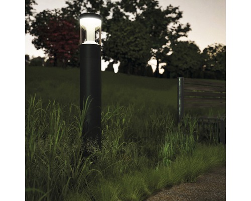 Vonkajšia lampa na trávniku so stromami v pozadí