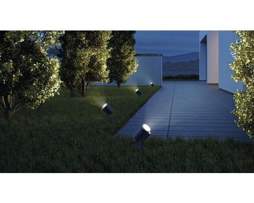 Záhradný pohľad s trávnikom, stromami a niekoľkými pozemnými bodovými svetlami na osvetlenie domu