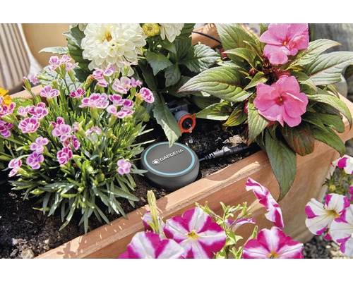 Kvetináč so zavlažovacím systémom a rôznymi kvitnúcimi rastlinami