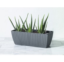 Obdĺžnikový kvetináč s rastlinami Aloe Vera a vlhkomerom