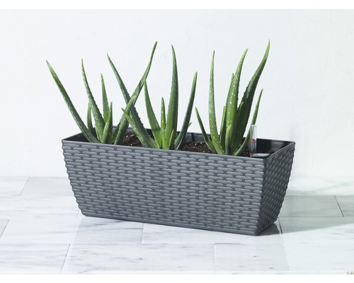 Obdĺžnikový kvetináč s rastlinami Aloe Vera a vlhkomerom