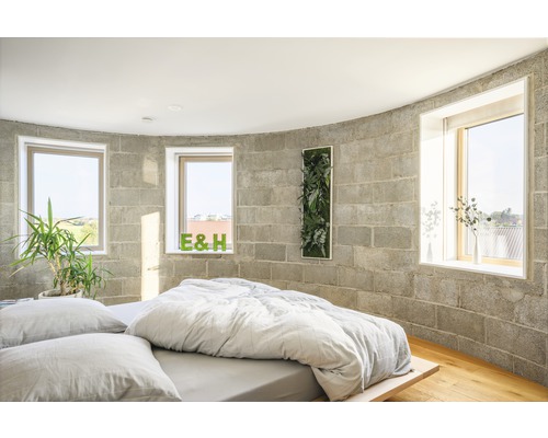 Svetlá spálňa s betónovou stenou, oknami, posteľou a izbovými rastlinami