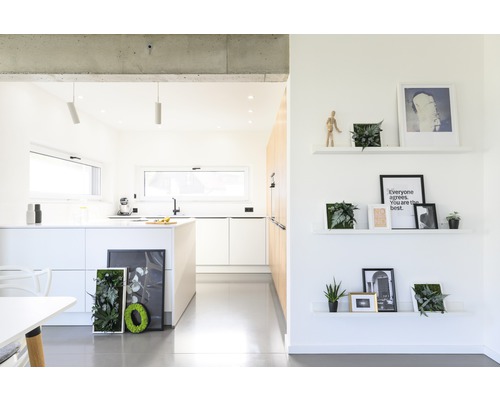 Svetlá miestnosť s kuchyňou a policami na stene, zdobená rastlinami a obrázkami.