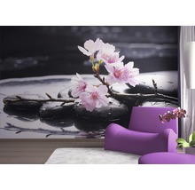 Nástenná maľba s kamenným motívom a kvetmi čerešne pre relaxačnú atmosféru v miestnosti.