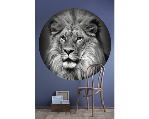Dekoratívna nástenná nálepka s motívom leva, vedľa nej drevená stolička a kôš s rámčekmi na fotografie
